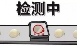 一天吃瓜群众的日常,围观热点，笑谈人生