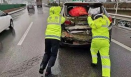 吃瓜群众看热闹起哄,围观热闹背后的社会现象解析