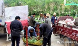 古镇吃瓜群众事件真相视频,揭秘真相背后的真相