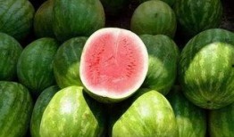 带你吃瓜的素材