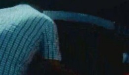 吃瓜群众违法停车,引发社会热议与反思