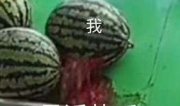 什么叫全民吃瓜,揭秘网络时代的全民娱乐现象