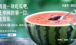 吃瓜吧程女士,揭秘娱乐圈幕后故事