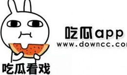 网红黑料吃瓜软件,吃瓜软件带你探秘网络红人幕后真相