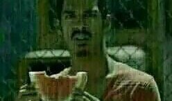 猪圈里的吃瓜群众图片真实