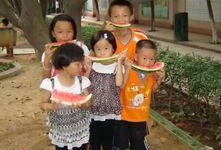 吃瓜观众高清图片,揭秘现场众生相