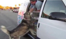 瓜车侧翻吃瓜群众违法吗,吃瓜群众违法与否的法律解析