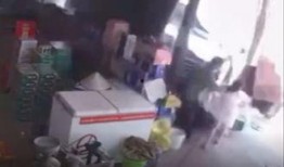 湖北父女吃瓜视频,揭秘家庭欢乐时光