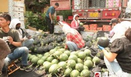 首页吃瓜前线,揭秘娱乐圈最新热点事件