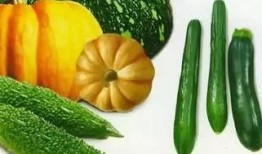 灵寿哪里吃瓜,探寻当地特色美食之旅