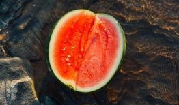 顾炎吃瓜,揭秘历史名士的闲情逸致