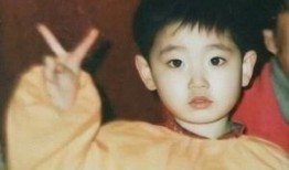 吃瓜视频剧情,揭秘娱乐圈背后的秘密与真相