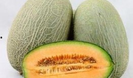 吃哈密瓜可以吃青椒吗,美味搭配的饮食新主张