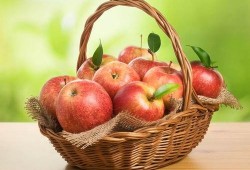 三社吃瓜星际圈