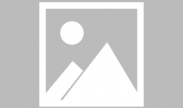 祝你天天吃哈密瓜