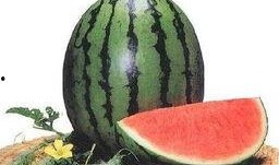 1分钟健康小课堂吃瓜,揭秘吃瓜的养生之道