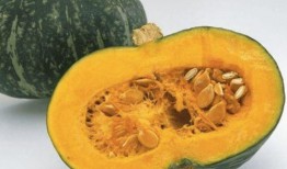 吃瓜中的毒瓜有哪些,这些瓜你敢吃吗？