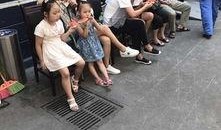 猪圈里的吃瓜群众图片真实