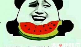 吃瓜有哪些事,盘点娱乐圈那些年我们追过的热点事件