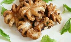 线瓜可以和墨鱼一起吃吗,营养互补的美食探索