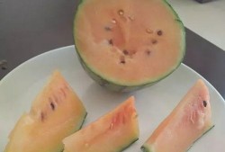 不瓜怎么吃,创意吃瓜指南