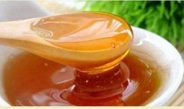 瓜儿沉浸式吃蜂蜜,一场与瓜儿的甜蜜邂逅