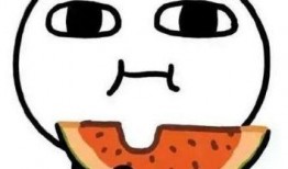 龙城吃瓜完整后续,揭秘真相，揭开神秘面纱