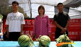 吃瓜观众高清图片,揭秘现场众生相