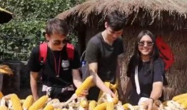 沂源最新吃瓜事件新闻,揭秘网络热议背后的真相