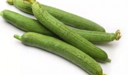 4hu52h吃瓜,网络热词背后的故事与影响