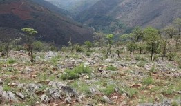 吃瓜群众荣县,吃瓜群众眼中的美食盛宴