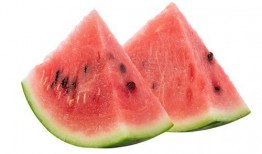 吃小蜜瓜的季节,甜蜜来袭，尽享清凉时光