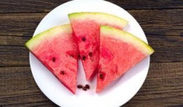 甘肃冬天吃的瓜,甘肃冬季特色瓜果美食之旅