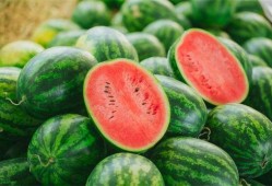 子林视频吃瓜,一场吃瓜盛宴背后的故事