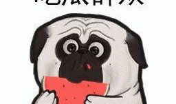 带你吃瓜符号,带你领略“带你吃瓜”符号的独特魅力