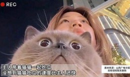 吃瓜猫影库,揭秘影视圈幕后故事，带你领略光影魅力