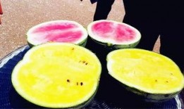 吃瓜爆料壁纸,壁纸背后的故事与真相