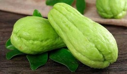 葫首瓜可以吃吗,揭秘其食用价值与食用方法