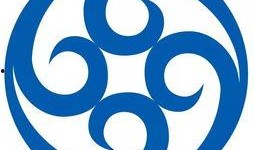 吃瓜海通证券,吃瓜群众眼中的金融巨头