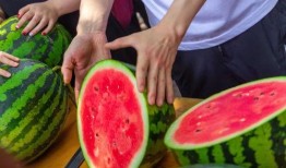 湖师吃瓜墙,揭秘校园热点事件背后的真相