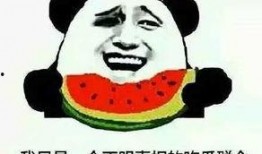 发言吃瓜群众怎么说话