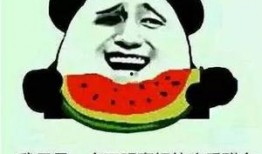 吃瓜群众一号,揭秘娱乐圈幕后风云