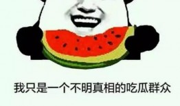 吃瓜群众只能在,吃瓜群众如何成为幕后推手