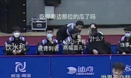 乒超上海队吃瓜,上海队内部矛盾引发吃瓜热潮